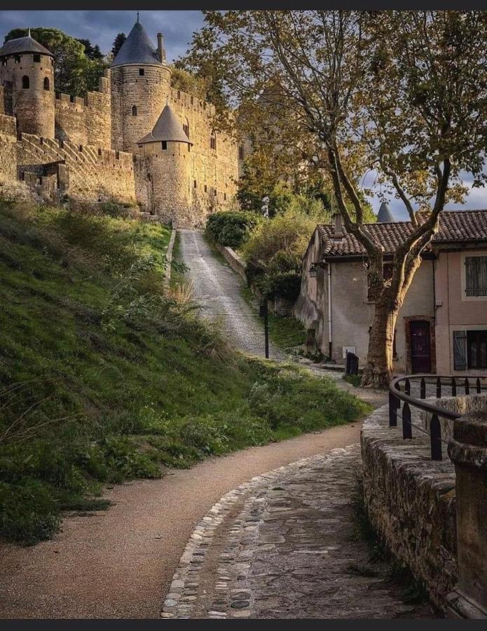 Maison Petite Cote Carcassonne Exteriér fotografie